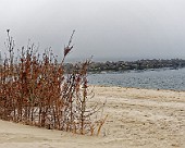 Nordjylland Nordseeküste