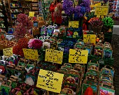 Amsterdam Blumenmarkt