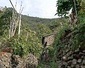 Riomaggiore