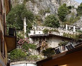 Limone SONY DSC