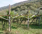 Castel Tobrino SONY DSC