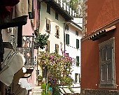 Limone