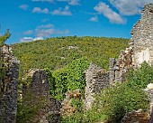 Dvigrad