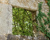 Dvigrad