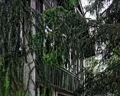 Dalsland Lost Places,