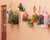 Blumenwand Sardinien