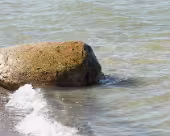 Ostsee