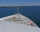 MS Europa - Bug