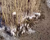 Timmendorf Steilküste