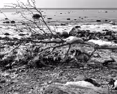 Timmendorf Steilküste