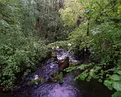 Kanin Richenberger Mühle