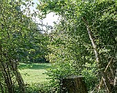 Zarrentin Moorerlebnispfad
