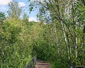 Zarrentin Moorerlebnispfad