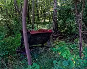 Zarrentin Moorerlebnispfad