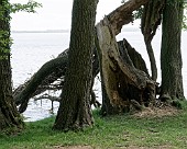 Lübstorf