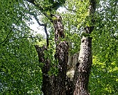 _DSC1176_DXOneu