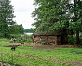 Groß Raden Slavenmuseum bei Sternberg